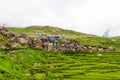 Green terraced fields and traditional architecture in Nar village, Annapurna Conservation Area, Nepal