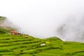 Green terraced fields and traditional architecture in the ancient Tibetan Nar village