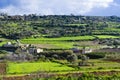 Green terraced meadows, Malta Royalty Free Stock Photo