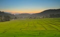 Green Terraced Rice Field