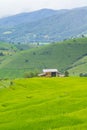 Green Terraced Rice Field, green rice fields in the countryside in Chiang Mai, Thailand Royalty Free Stock Photo