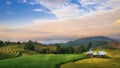 Green Terraced Rice Field in Pa Pong Pieng Royalty Free Stock Photo