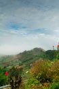 Green terraces with flowers in the foreground in the city of Majalengka, Indonesia Royalty Free Stock Photo