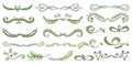 Green text dividers, page separators design set. Line borders, laurels, organic frame with plant. Floral decorative