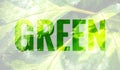 Green text Royalty Free Stock Photo