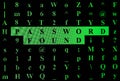 Green Text PASSWORD FOUND and random characters on screen