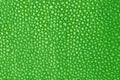 Green texture leather shagreen Royalty Free Stock Photo