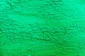 Green texture of peeling cracked paint