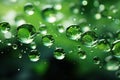 Green texture with round drops of liquid, drops of water and glycerin.