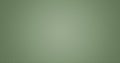 green texture, swamp background. Jade colors abstract herbal background for designer.