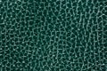 Green textured leather background. Abstract leather texture Royalty Free Stock Photo