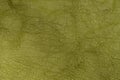 Green textured leather background. Royalty Free Stock Photo