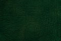 Green textured leather background. Royalty Free Stock Photo