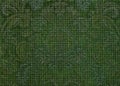 Green Textured Paisley Background