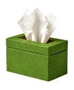 Green Textured Tissue Box with White Tissues Isolated on White Background fabric Royalty Free Stock Photo