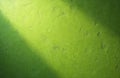 Green textured wall with shadows, showing a rough stucco or plaster surface with bumps and indentations. Light hits from the Royalty Free Stock Photo