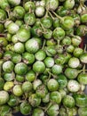 Green thai eggplant in Asian market Royalty Free Stock Photo
