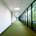 Green Themed IT Office Corridor with Contemporary Interior and Fluorescent Lighting Setup Royalty Free Stock Photo