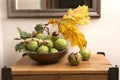 Green and thorny horse chestnut fruits in interior.