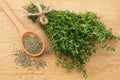 Green thyme bunch with dried thyme seeds on wooden background. top view