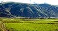 Green Tibet landscape on sunny day with color filter Royalty Free Stock Photo