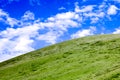 Green Tibet landscape on sunny day with color filter Royalty Free Stock Photo