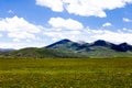 Green Tibet landscape on sunny day with color filter