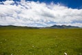 Green Tibet landscape on sunny day with color filter Royalty Free Stock Photo