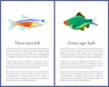 Green Tiger Barb and Neon Tetra Fishes Posters