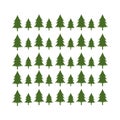 Green timberland pine tree branch christmas background illustration