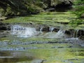 Green Tiny Waterfall