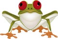 Green toad Royalty Free Stock Photo