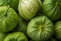 green tomatillo fruits Royalty Free Stock Photo