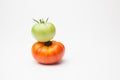 Green tomato, red and ripe tomato, ripening process.