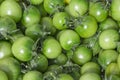 Green tomatoes in a basket on a fruit farmers Sunday market. Detailed close up with vivid shiny colors. Concept for organic food