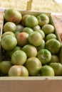Green Tomatoes in a Box at an Outdoor Market Royalty Free Stock Photo