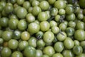 Green tomatoes closeup Royalty Free Stock Photo