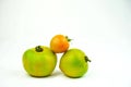 Green tomatoes garden fresh presented on a plain white background. Royalty Free Stock Photo