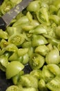 Green tomatoes Royalty Free Stock Photo