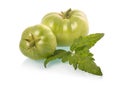 Green tomatoes vegetables with leaves isolated