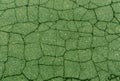 green toned damaged asphalt texture. Royalty Free Stock Photo