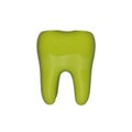 Green tooth model isolated on white background.