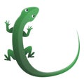 Green top view lizard icon, cartoon style