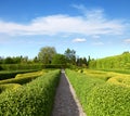 Green Topiary in a Tranquil Garden.