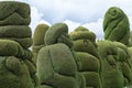 Green topiary in Tulcan Ecuador Royalty Free Stock Photo