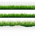 Green Torn Paper With Grass Set- Royalty Free Stock Photo