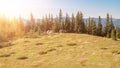 Green tourist tent in camp among meadow and forest in the mountains.Nature background Royalty Free Stock Photo