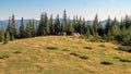 Green tourist tent in camp among meadow and forest in the mountains.Nature background Royalty Free Stock Photo