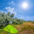 Green touristc tent stay on forest glade under a sparkle sun Royalty Free Stock Photo