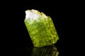 Green tourmaline in front of black